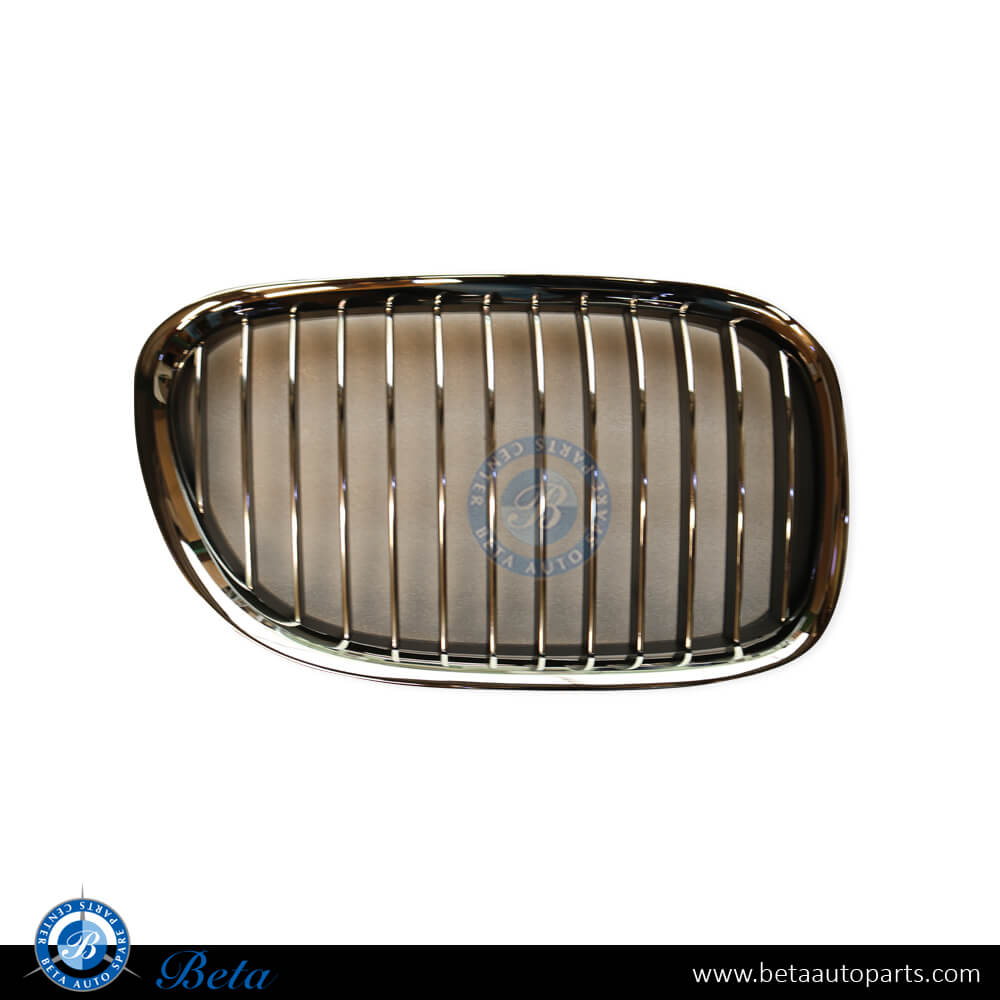 Left Side Radiator Grille for BMW 7 Series F01/F02 2009-2012 models, Part Number 51117184151 Left Side Radiator Grille for BMW 7 Series F01/F02 2009-2012 models, Part Number 51117184151